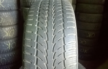 Nokian WR 113H