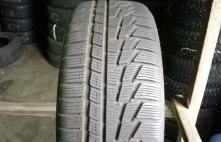 Nokian WR G2 95V